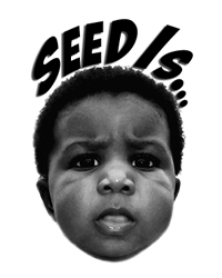 Seed Is ...
